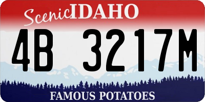 ID license plate 4B3217M
