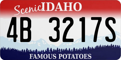 ID license plate 4B3217S
