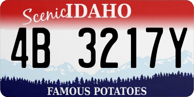 ID license plate 4B3217Y