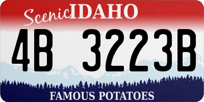 ID license plate 4B3223B