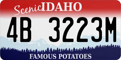 ID license plate 4B3223M