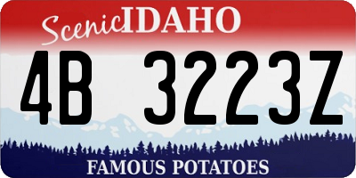 ID license plate 4B3223Z
