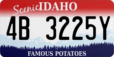 ID license plate 4B3225Y