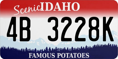 ID license plate 4B3228K