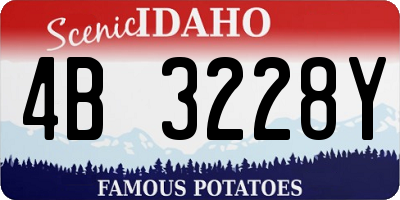 ID license plate 4B3228Y