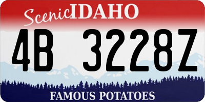 ID license plate 4B3228Z