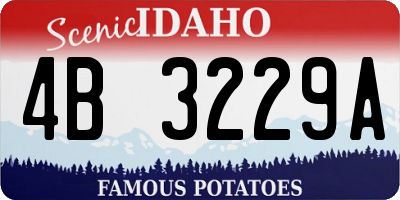 ID license plate 4B3229A