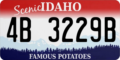 ID license plate 4B3229B