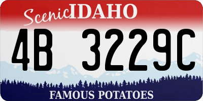 ID license plate 4B3229C