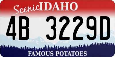 ID license plate 4B3229D
