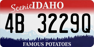 ID license plate 4B3229Q