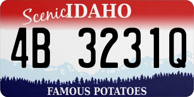 ID license plate 4B3231Q