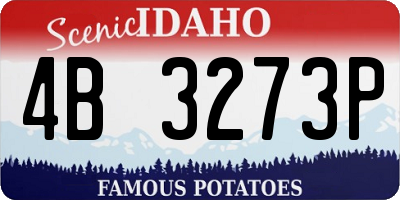 ID license plate 4B3273P