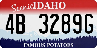ID license plate 4B3289G