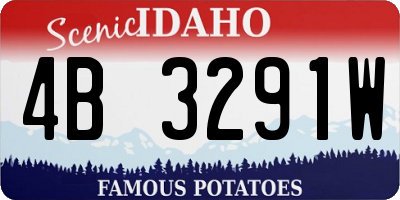 ID license plate 4B3291W
