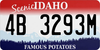 ID license plate 4B3293M