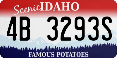 ID license plate 4B3293S