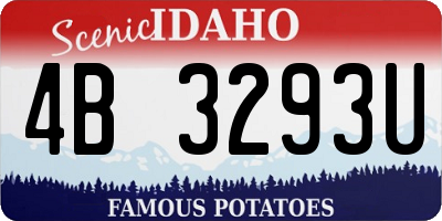 ID license plate 4B3293U