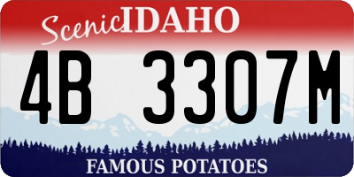 ID license plate 4B3307M
