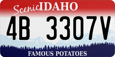 ID license plate 4B3307V