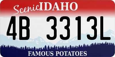 ID license plate 4B3313L