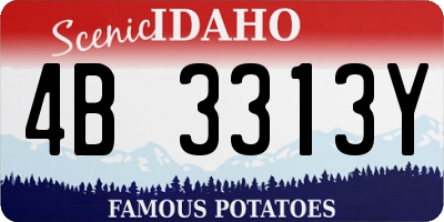 ID license plate 4B3313Y