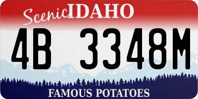 ID license plate 4B3348M