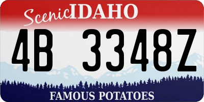 ID license plate 4B3348Z