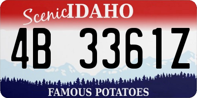 ID license plate 4B3361Z