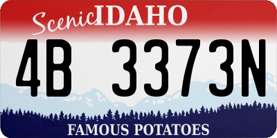 ID license plate 4B3373N