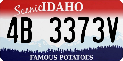 ID license plate 4B3373V