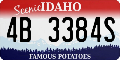 ID license plate 4B3384S