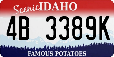 ID license plate 4B3389K