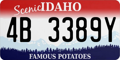 ID license plate 4B3389Y