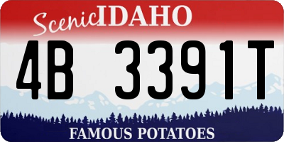 ID license plate 4B3391T