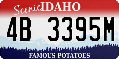 ID license plate 4B3395M
