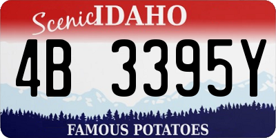 ID license plate 4B3395Y