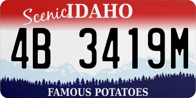 ID license plate 4B3419M