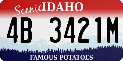 ID license plate 4B3421M