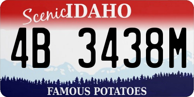 ID license plate 4B3438M