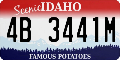 ID license plate 4B3441M