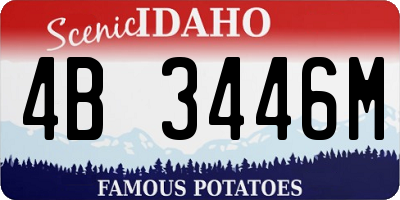 ID license plate 4B3446M