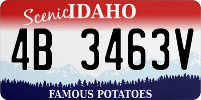 ID license plate 4B3463V