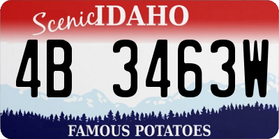 ID license plate 4B3463W