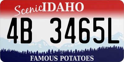 ID license plate 4B3465L