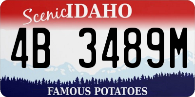 ID license plate 4B3489M