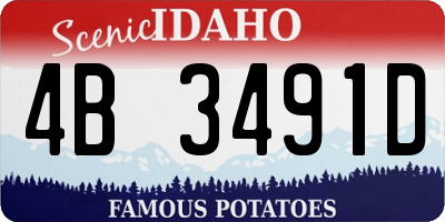 ID license plate 4B3491D