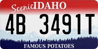 ID license plate 4B3491T