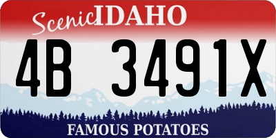 ID license plate 4B3491X