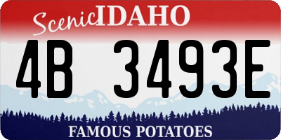 ID license plate 4B3493E